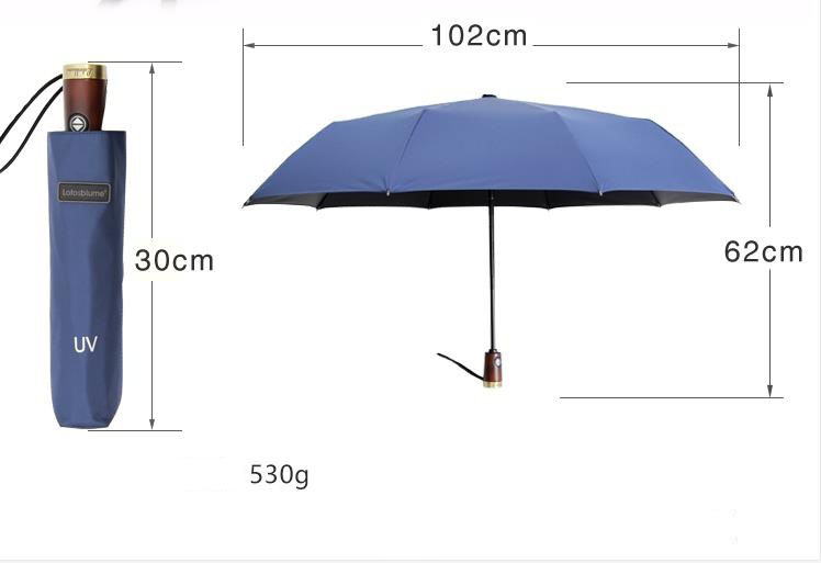 Ô ngắn gập tự động 10 nan cao cấp Lotosblume cán viền kim loại