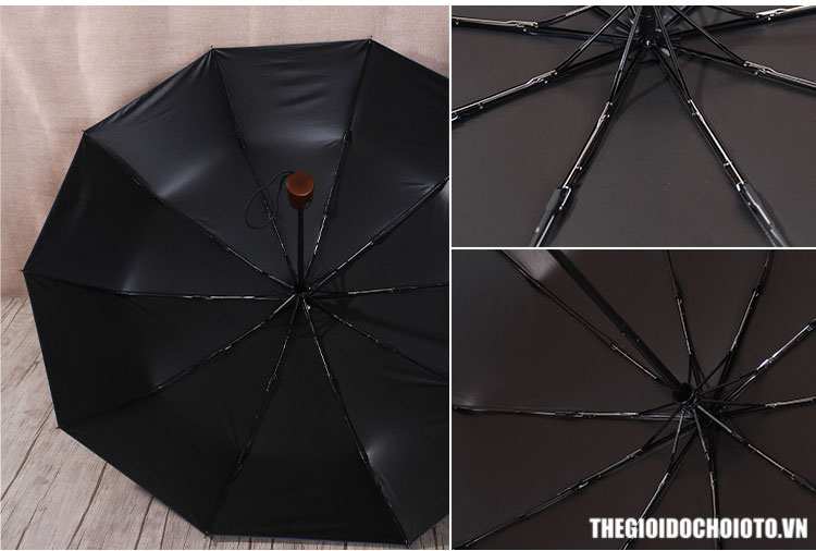 Ô ngắn gập tự động 10 nan cao cấp Lotosblume