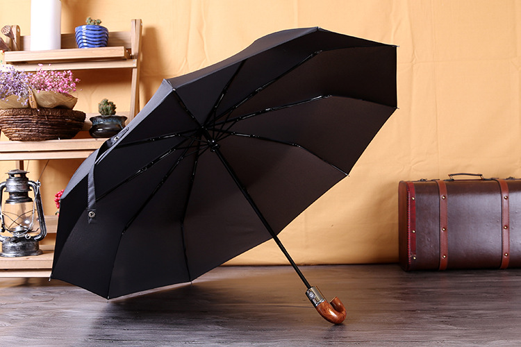 Ô ngắn gập tự động 10 nan cao cấp Palony